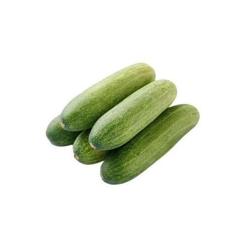 TIMUN