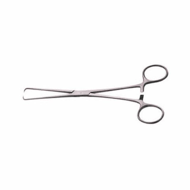 Tenakulum 25 CM
