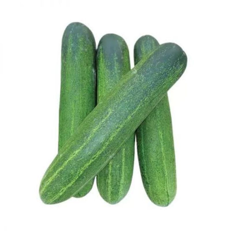 KETIMUN