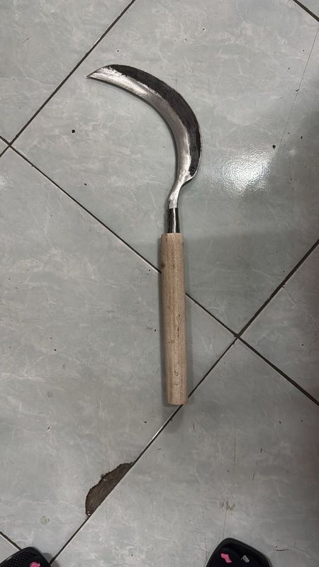 SABIT BIASA