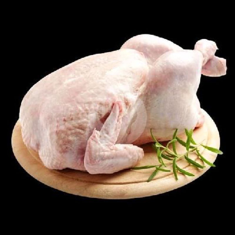 Ayam.