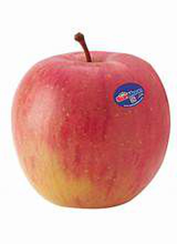 APEL FUJI
