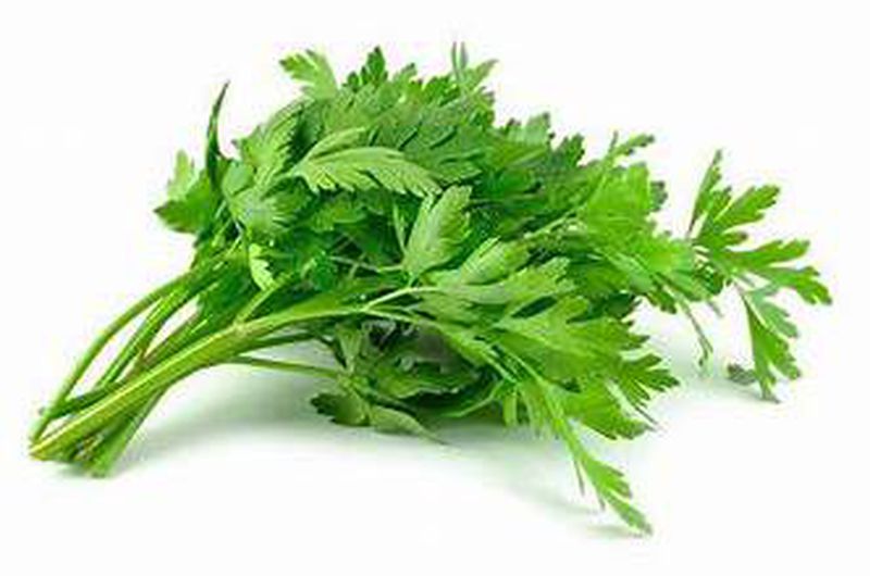 DAUN SOP