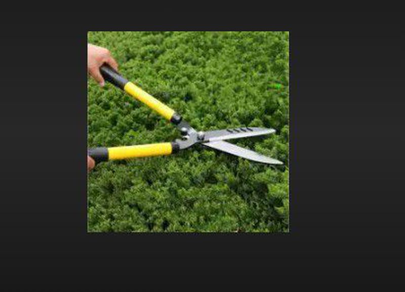 Gunting Rumput