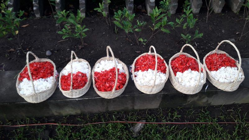 Bunga Tabur
