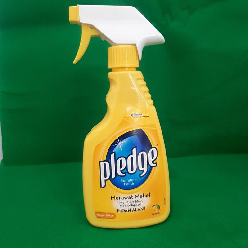 Pledge Pump