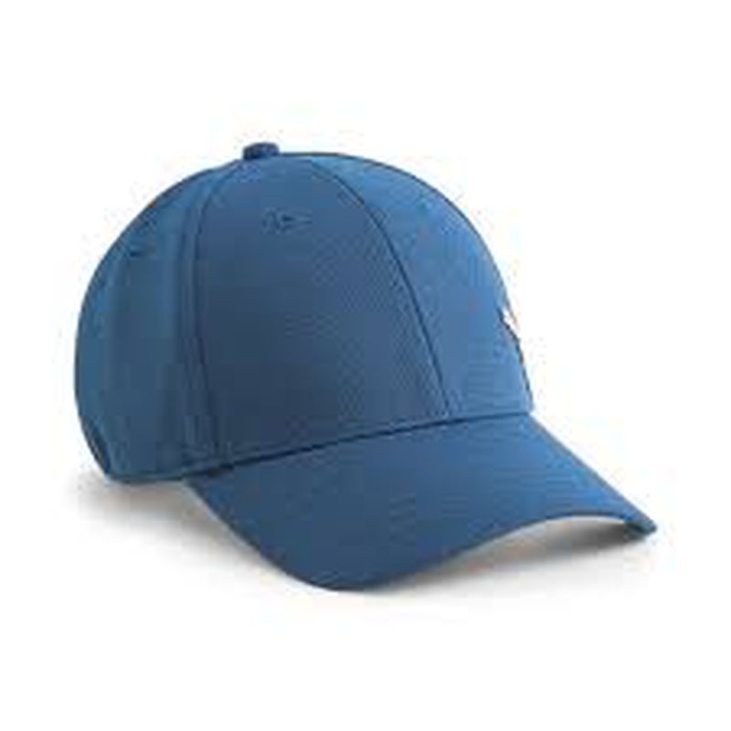 TOPI PET