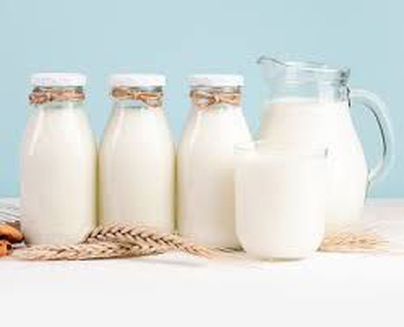 susu.