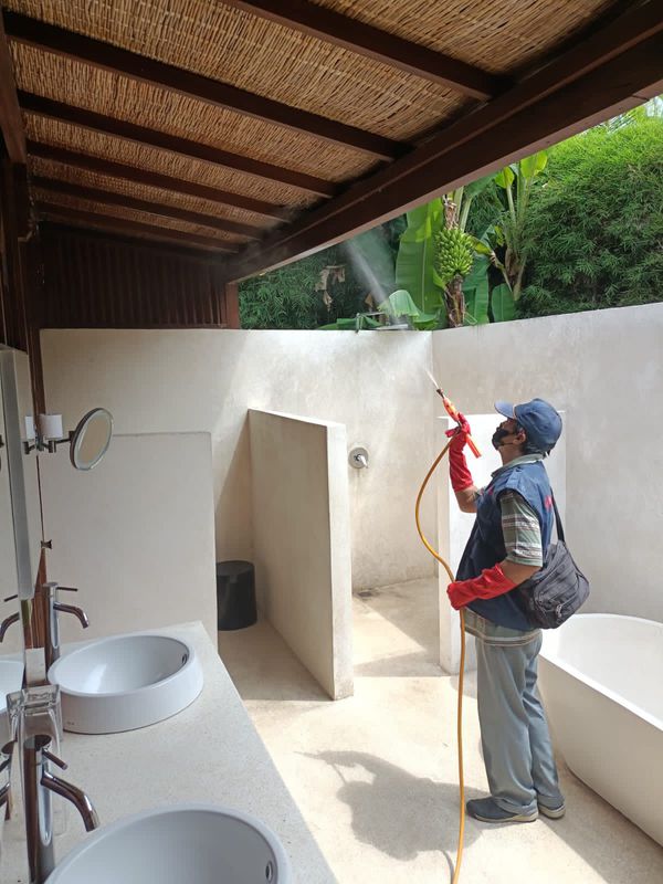 TERMITE CONTROL