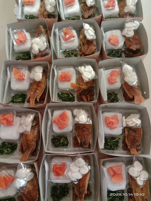 nasi box