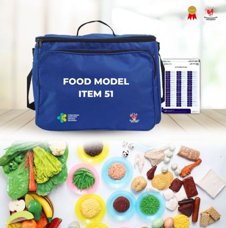 FOOD MODEL KIT