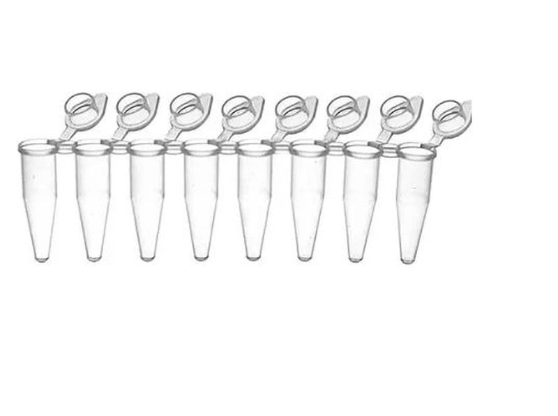 Thin Wall Clear 8-Strip PCR Tubes with attached Optically Clear Caps ...
