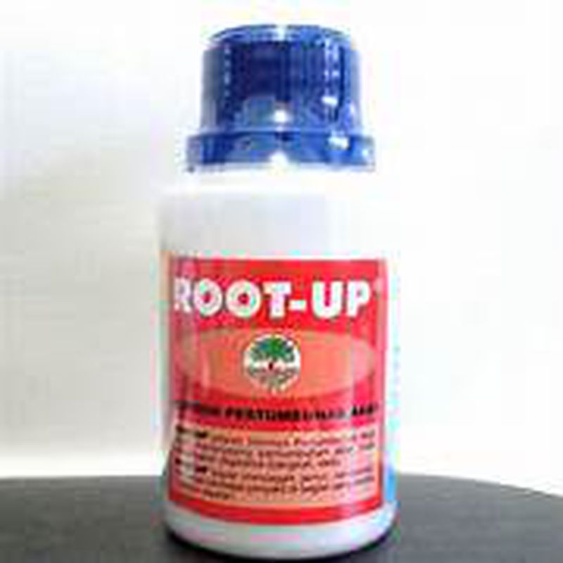 Root - up