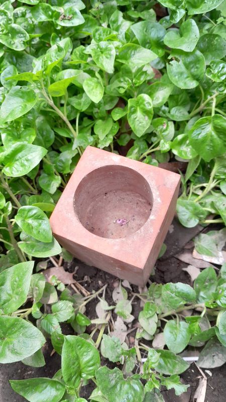 pot box