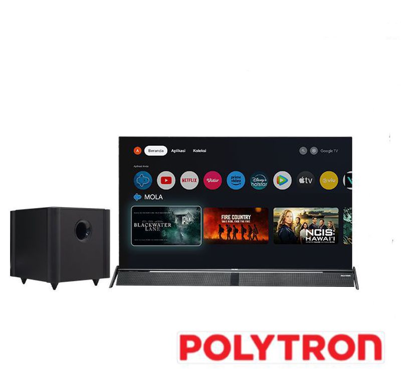 POLYTRON TV 49 INC