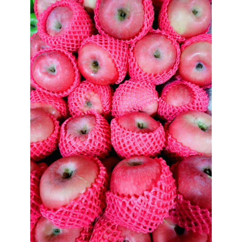Buah Apel