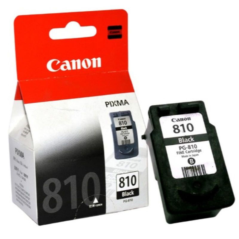 CARTRIDGE 810 BLACK