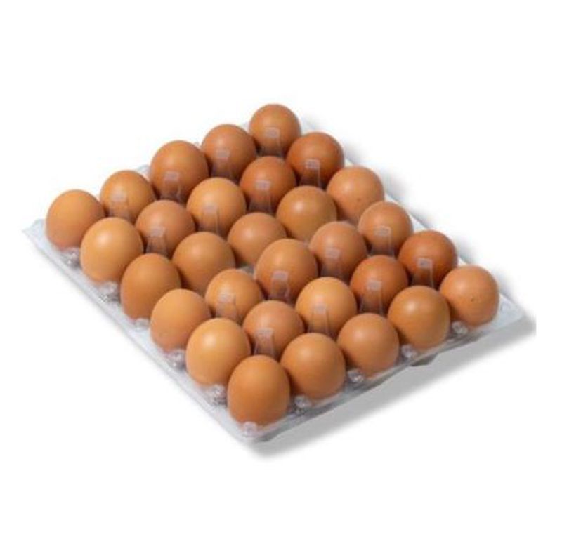 Telur Ayam Ras