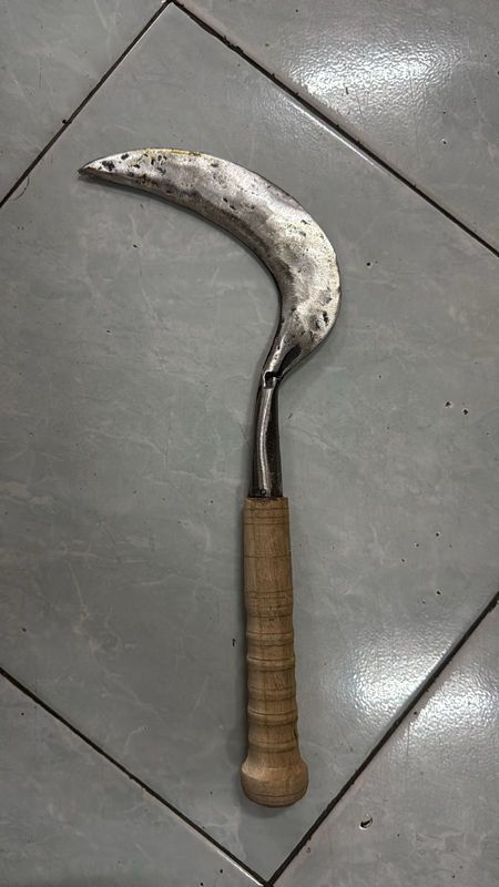 SABIT BIASA