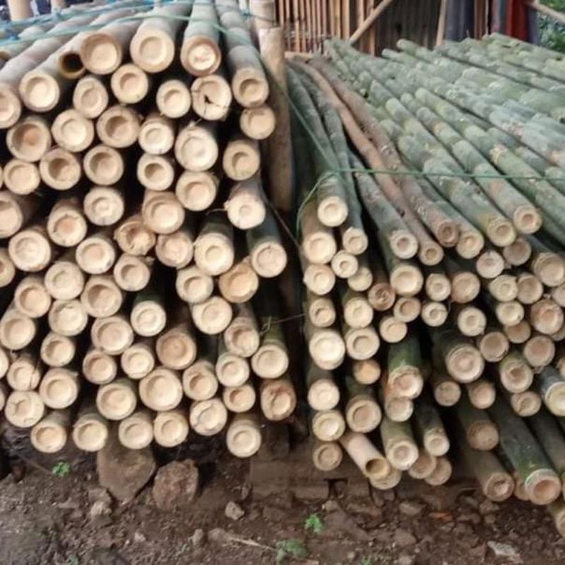 BAMBU