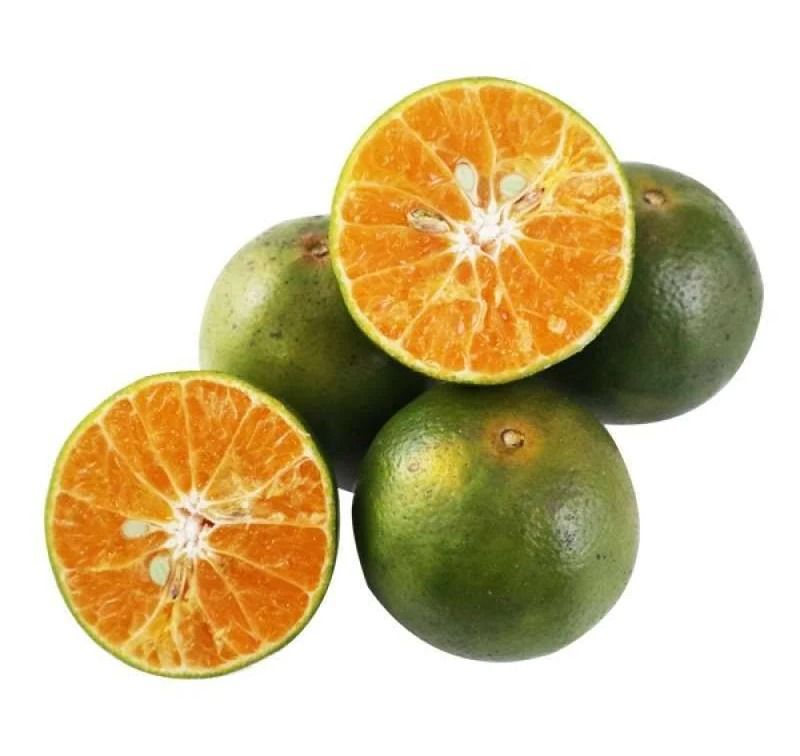 Jeruk