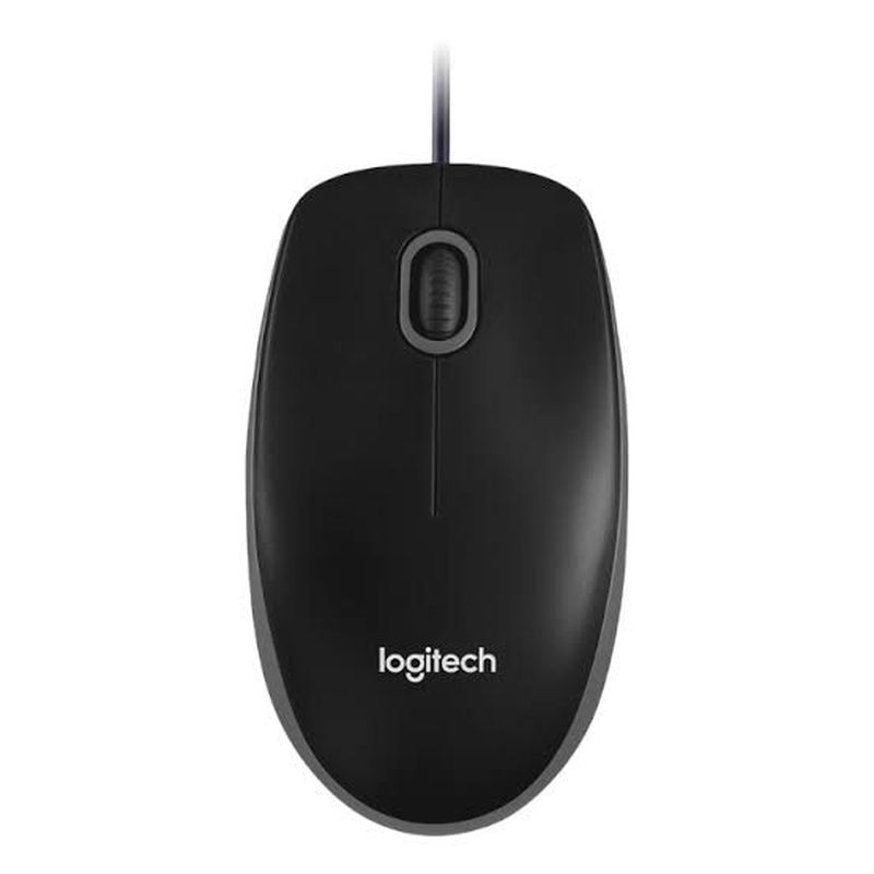 Mouse B100