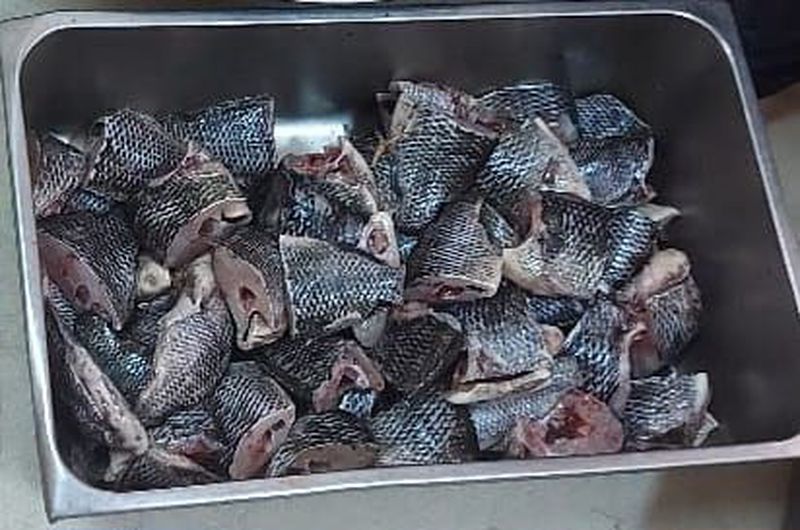 Ikan Nila