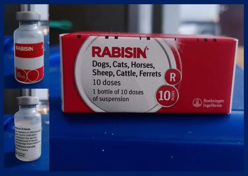 Vaksin Rabies