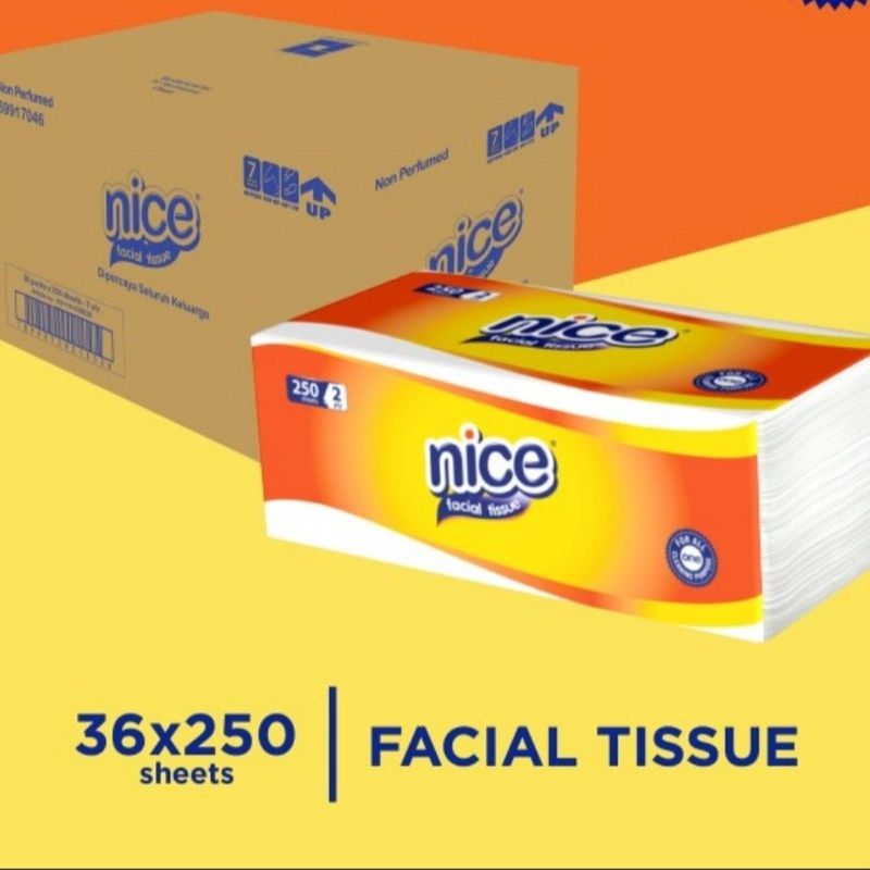 Tissue NICE 250 Sheet 2Ply