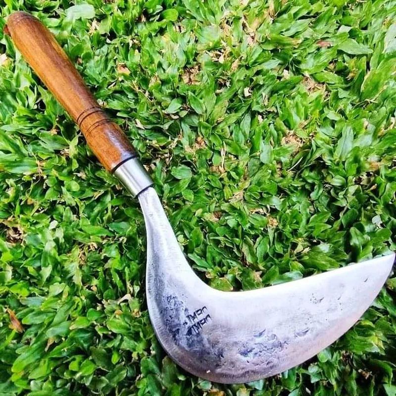 Sabit Baja