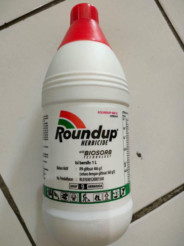 Racun Rumput