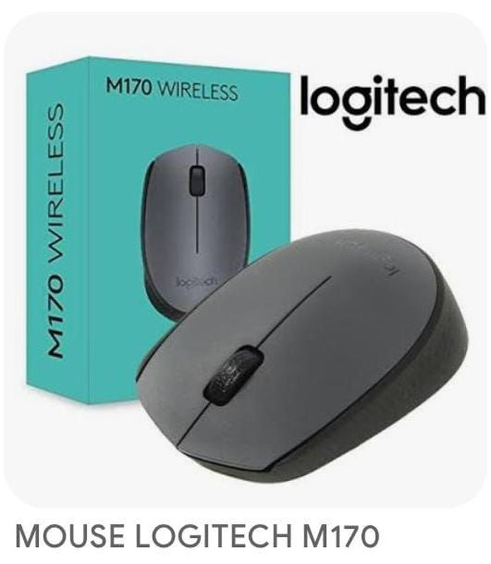 Mouse logitech M170