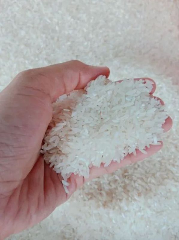 beras premium 1kg