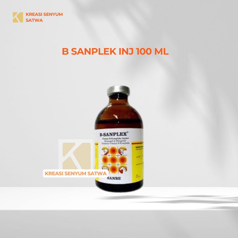 B sanplex Inj 100 ml