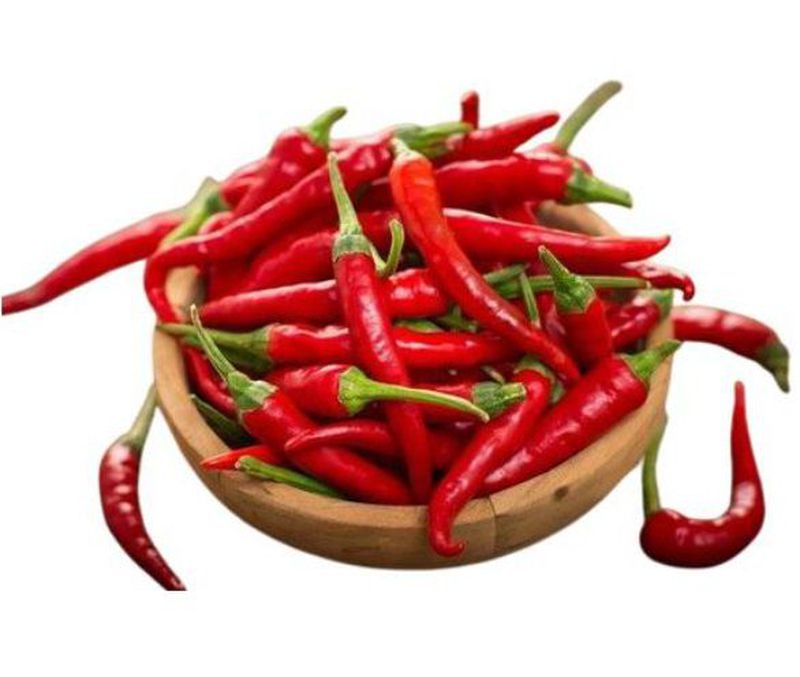 CABAI MERAH BESAR